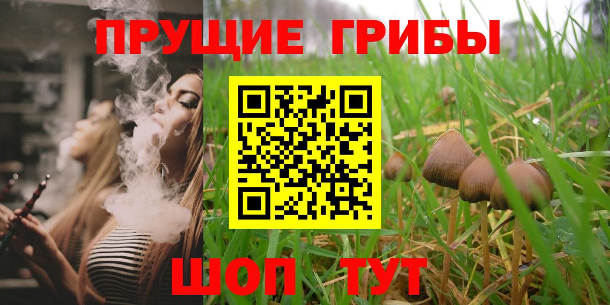 Псилоцибиновые грибы Psilocybe Нефтекумск